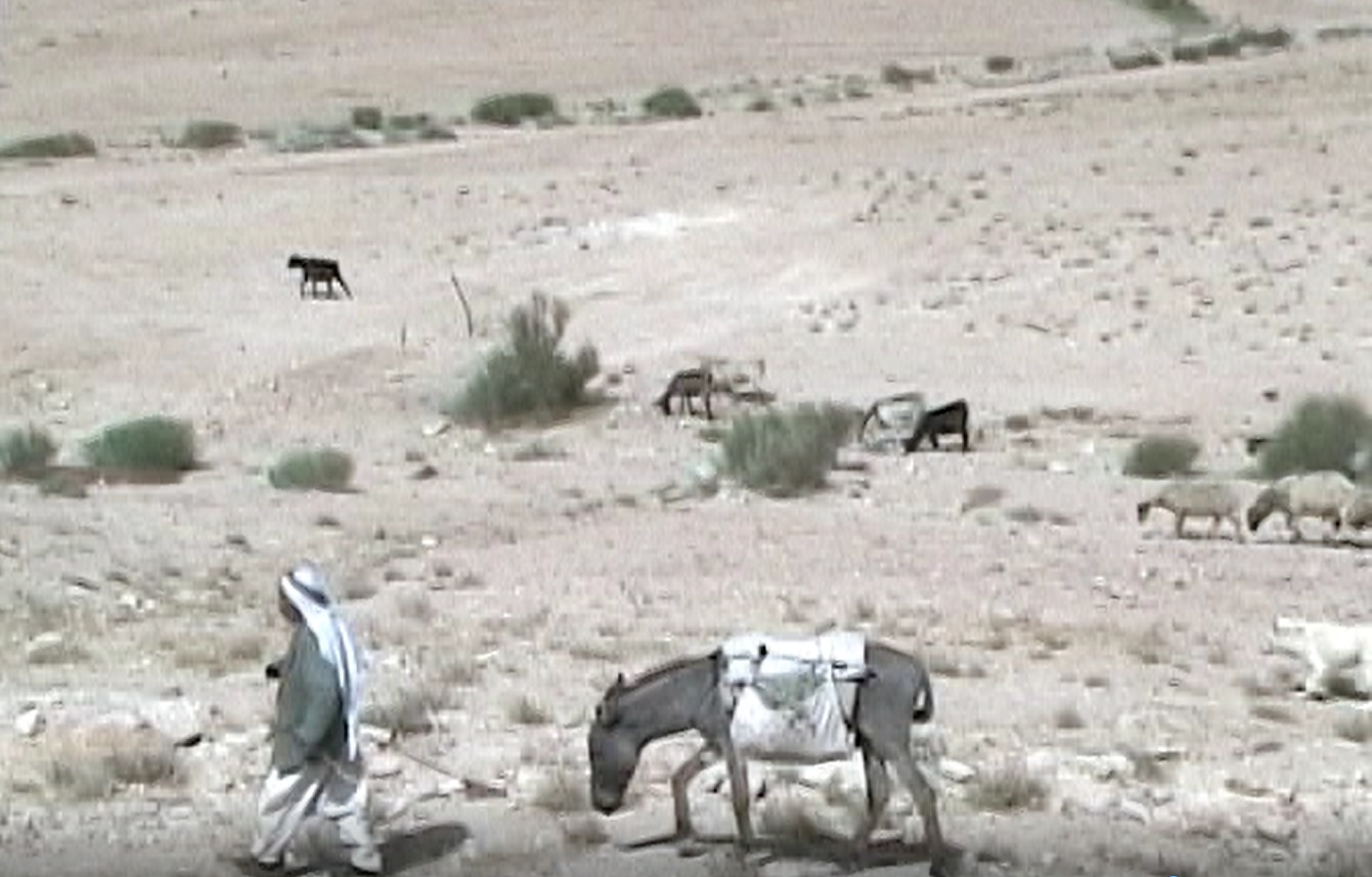 a man dressed in lose robes walking with a donkey in arid wilderness with sheep and goats in the background