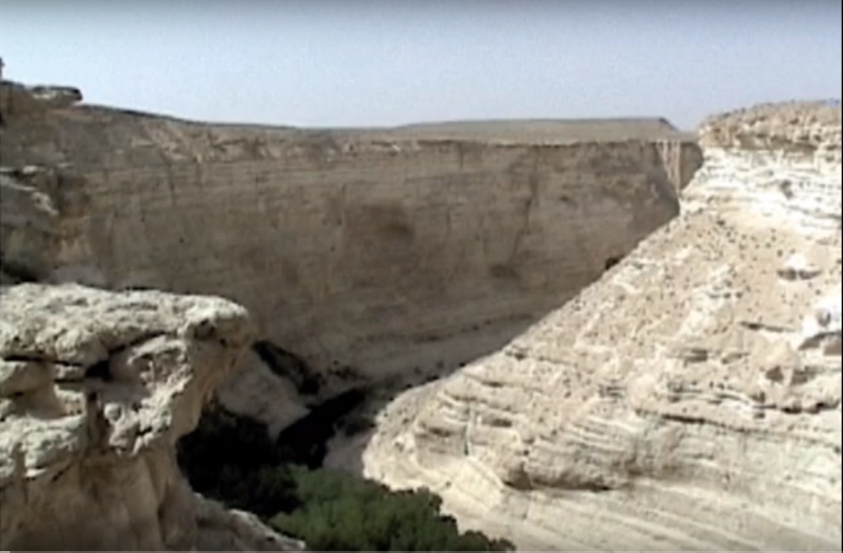 a deep dry valley in the desert between steep, extremely high cliffs