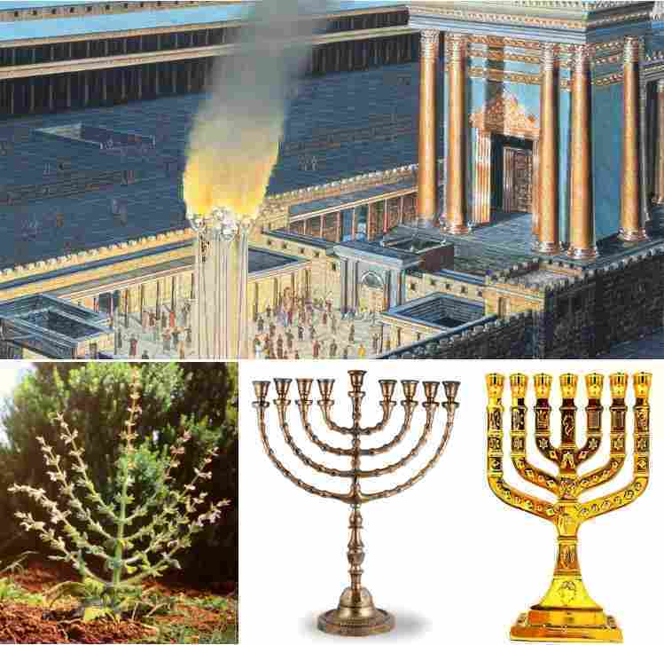 ancient-jewish-feasts-and-the-gospel-john-part-2-of-3-envision-bible