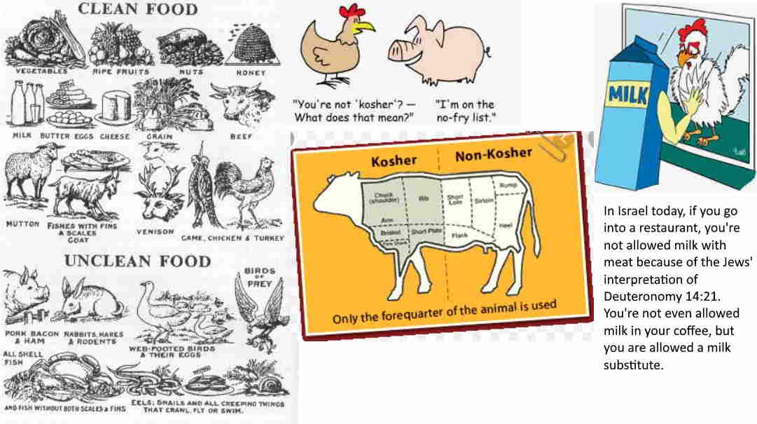 a chart with different foods and animals  pictured that Jews called kosher, a picture showing what sections of a cow is kosher, and 2 artwork pictures of non-kosher combinations