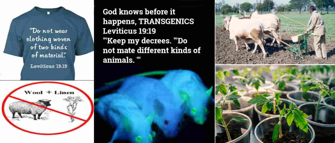 pictures for Leviticus 19:19, prohibitions against wearing different materials woven together, mating different animal types & sowing seeds